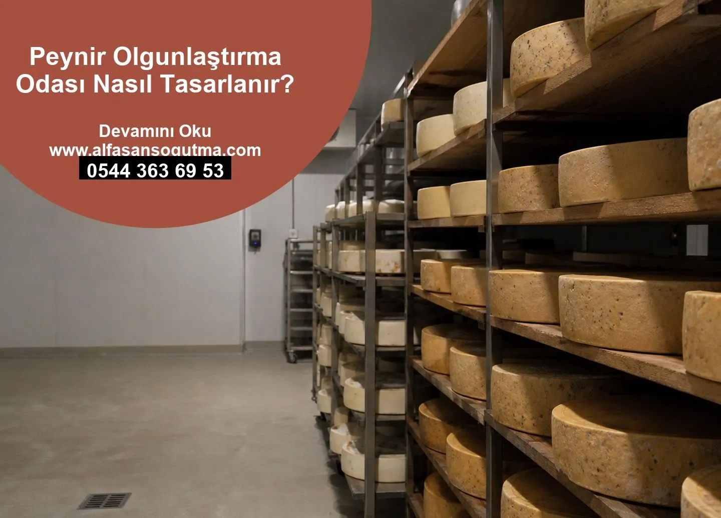 Peynir Olgunlaştırma Odası Nasıl Tasarlanır?